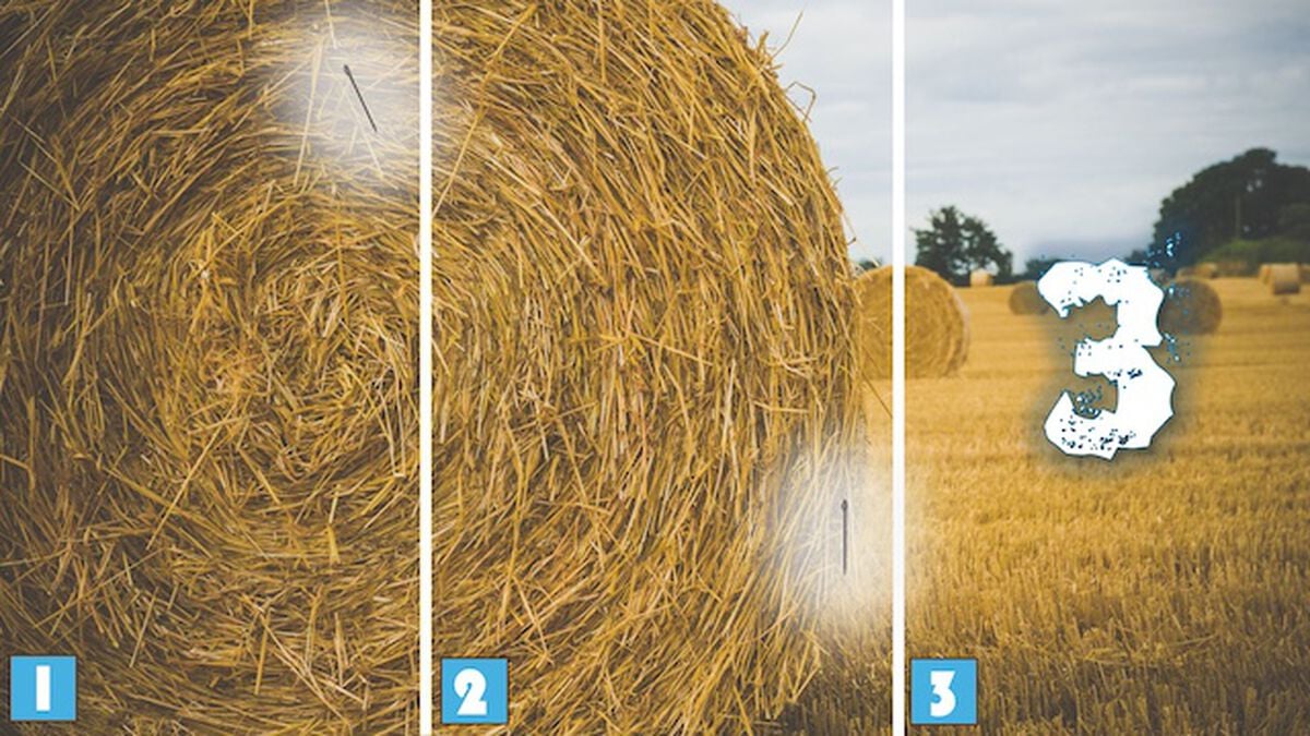 Needle in a Haystack 3 image number null